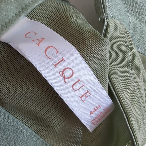 Lane Bryant Cacique Bra Size 44H Lightly Lined Full COverage Wireless Lace Green - Picture 4 of 5